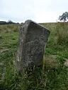 Boundary stone on Burley Down